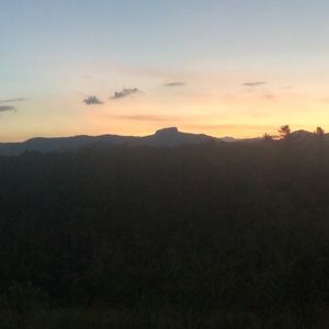 Meet your Posher, Savannah